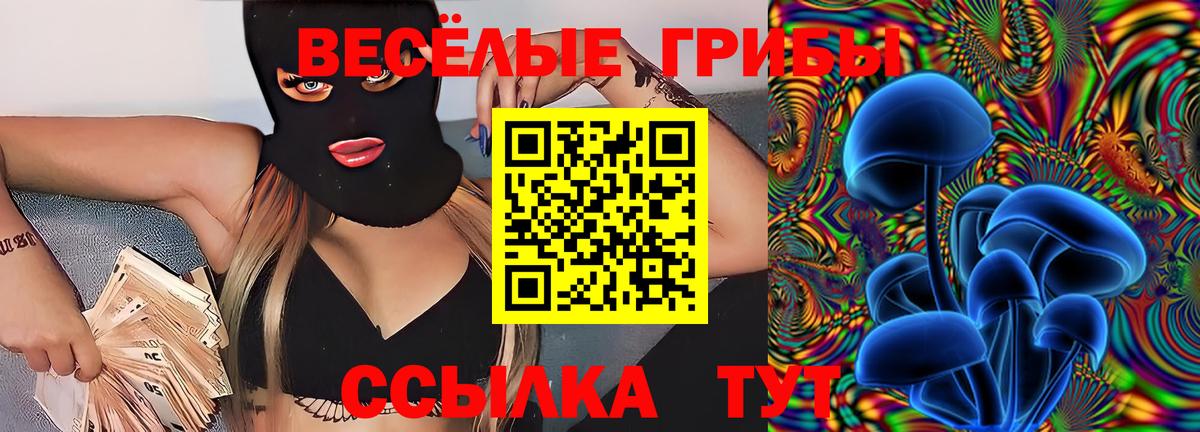 Реж  Галлюциногенные грибы Psilocybe  Вход с VPN  Галлюциногенные грибы ЛСД 